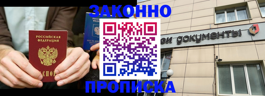 прописка поиск в Павловске